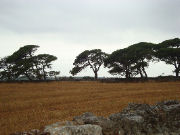 Natura & Co